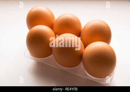 Une demi-douzaine d'oeufs crus isolés dans un fond blanc. Coupe-oeuf. Banque D'Images