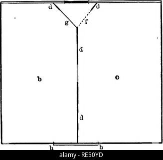 . Le pigeon pratique keeper. Les pigeons. Le PIGEON KEEPER 214 PRATIQUE. de plus que le plus gros pigeon, ou plutôt, assez pour un peu plus d'équilibrer le pigeon à l'autre extrémité. D'où le pigeon amerrit et trouve la scène sécurité. Mais si un chat amerrit , le conseil à la fois de conseils et vous permet de tomber. Si ,il y a une série de fils de boulonnage, nécessitant une grande étape, il doit être divisé en bandes ou en sections, et chaque morceau séparément équilibré. Toutes les entrées devraient être peints dans une vue. Il est souvent préférable de ne pas avoir à l'extérieur d'une cage ou d'une région, mais de l'avoir à l'intérieur du loft inste Banque D'Images