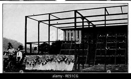 . La norme nationale livre d'assise. Les pigeons. 1907 STO PLUS^TES SUCCÈS DE 1908. Éclairé par l'ÉLECTRICITÉ ET DU CHAUFFAGE PAR LA VAPEUR. Cela montre une partie de l'up-to-date de l'usine le client dans l'État de New York dont la lettre est imprimée sur cette page. Les oiseaux pendants devant le papier brun pigeonneaux sont juste tué à gfet-les dans l'image. Verser dans des beaux bâtiments. Je joins mon .photographie montrant quatre unités -bureau et chambre. Le bâtiment est fait de bois de sorte qu'ils sont ab- solutely sir - serré si vous le souhaitez. ^ Il est équipé d'un hammam la chaleur, lumière électrique, chaud et froid d'un watqr Banque D'Images