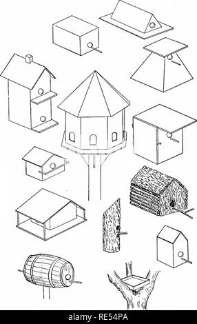 . Étude de la nature ; un manuel pour les enseignants et les élèves. L'étude de la nature. Fig. 2g. Maisons d'oiseaux. Robin le bac.. Veuillez noter que ces images sont extraites de la page numérisée des images qui peuvent avoir été retouchées numériquement pour plus de lisibilité - coloration et l'aspect de ces illustrations ne peut pas parfaitement ressembler à l'œuvre originale.. Holtz, Frederick Leopold, 1870-. New York, C. Scribner's Sons Banque D'Images