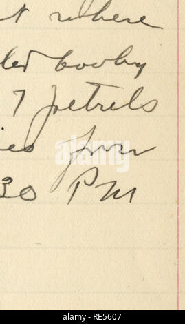 . Rollo Beck expédition Galápagos journal, 1905-1906 (inclus). Expéditions scientifiques -- l'Amérique du Sud.. . Veuillez noter que ces images sont extraites de la page numérisée des images qui peuvent avoir été retouchées numériquement pour plus de lisibilité - coloration et l'aspect de ces illustrations ne peut pas parfaitement ressembler à l'œuvre originale.. Beck, Rollo Howard. Banque D'Images