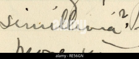 . Rollo Beck expédition Galápagos journal, 1905-1906 (inclus). Expéditions scientifiques -- l'Amérique du Sud.. . Veuillez noter que ces images sont extraites de la page numérisée des images qui peuvent avoir été retouchées numériquement pour plus de lisibilité - coloration et l'aspect de ces illustrations ne peut pas parfaitement ressembler à l'œuvre originale.. Beck, Rollo Howard. Banque D'Images