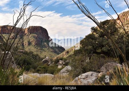 Pima Canyon Trail à Coronado National Forest. Les montagnes Santa Catalina peut être vu, avec Tucson, Arizona dans la distance. Banque D'Images