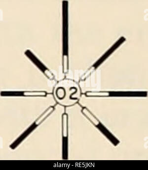 . L'Est de la mer de Béring Tablette : océanographie et ressources / edited by Donald W. Hood et John A. Calder. L'océanographie de la mer de Béring.. Zone B ZONE MARINE MARINE MARINE MARINE C ZONE D ZONE E Figure 2-4. Les roses des vents de février. (D'où vient le vent.) OCT NOV DÉC JAN FÉV MAR AVR MAI JUIN JUIL AOÛT SEPT 100 % 80 %. Veuillez noter que ces images sont extraites de la page numérisée des images qui peuvent avoir été retouchées numériquement pour plus de lisibilité - coloration et l'aspect de ces illustrations ne peut pas parfaitement ressembler à l'œuvre originale.. Capot, D. W. (Donald Wilbur), 1918- ; Calder, John A ; Uni Banque D'Images