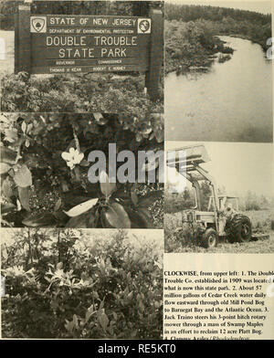 . Les canneberges ; : la canneberge national magazine. La canneberge. Dans le sens horaire, à partir de la partie supérieure gauche : 1. Le Double Trouble Co. établie en 1909 était situé dans ce qui est aujourd'hui ce state park. 2. Environ 57 millions de gallons d'eau du ruisseau Cedar flux quotidien vers l'est par le vieux moulin Étang Bog à Barnegat Bay et l'océan Atlantique. 3. Jack Traino oriente son attelage 3 points la tondeuse rotative à travers une masse d'Érables de marais dans un effort pour récupérer 12 acre Piatt tourbière. 4. L'azalée (Rhododendron moite viscosa) est trouvé dans les Pine Barrens. 5. Sweet Bay ou marais Magnolia (Magnolia virginiana), a aussi trouvé à Double Trouble, Banque D'Images