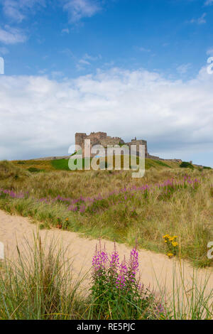 Château de Bamburgh, des dunes de sable, Bamburgh Northumberland, England, United Kingdom Banque D'Images