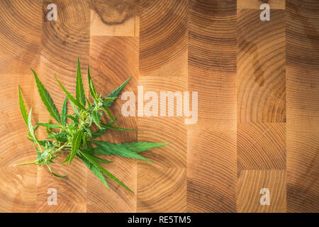 Photos Macro de la marijuana plante avec les feuilles et les bourgeons sur fond de bois. La plante de cannabis vue en gros plan. Plante de la marijuana à des fins médicales avec un hig Banque D'Images
