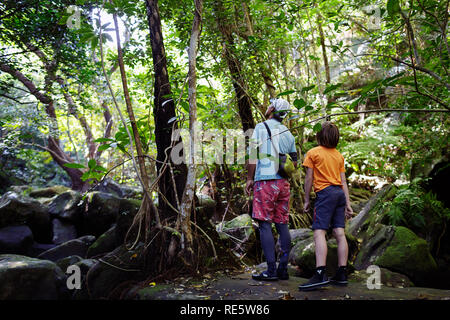 Homme et enfant de trekking à travers la jungle luxuriante forêt tropicale en flux d'Iriomote-jima, Okinawa, Japon Banque D'Images