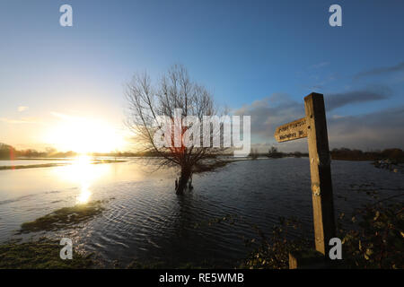 Le Somerset Levels inondation pour la première fois cette année autour de la ville de Langport et Muchelney Abbey. En 2012 Muchelney a été coupée pendant 12 jours avant Noël, les inondations en tournant le village dans une île. Doté d''atmosphère : où : Langport, Royaume-Uni Quand : 20 Déc 2018 Crédit : David Sims/WENN.com Banque D'Images