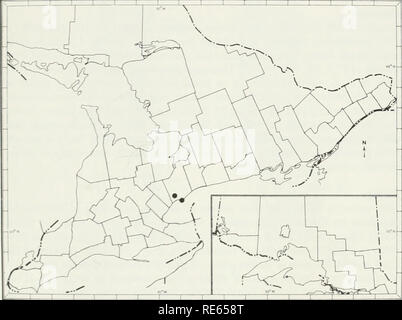 . Les vers de terre (lumbricidae et sparganophilidae) de l'Ontario. Lumbricidae ; les vers. Répartition En Amérique du Nord en raison de la confusion dans le passé Aporrectodea trapezoides groupe d'espèce (cf. Portes, 1972a). Un grand nombre des documents d'Ap. longa peuvent avoir été attribués à d'autres espèces comme le Lumbricus terrestris ou Allolobophora terrestris et diverses formes de variétés. Il y a quelques rapports de collections limitées de cette espèce en Amérique du Nord (cf. Eaton. 1942 ; barrières, 1953a ; Murchie, 1956 ; Reynolds, 1973c, 1975a-c. 1976a. c ; et Reynolds et al., 1974). Nouveau-brunswick (Reynolds, I976d), Nova Scoti Banque D'Images