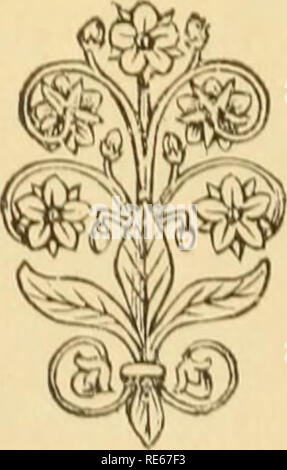 . La terre et ses habitants ... La géographie. BG2 LA RUSSIE DANS EUlîOl'E. ou rusty linos de tlieir vef^^moussue( f.iition. Tlio ])laiii8 produire quelques plantes à fleurs', iicconling Iliiugliu tlio niul à flore ('oinpriscs otlior phaiu altog-150-ro- f^aiTious ecpial et près d'un certain nombre d'espèce aiiious^crypto. Il y a aussi liiicts arci sonic de galles'l' l)lrcli, cidre, et des sapins ; mais plus conmion tlio -arbre est un Npocies de Willow (c///.r po/((n'.s), plus d'un peu plus d'une demi-pouce au-dessus de la entourant-lichens. Le géant de ces forêts est un saule arctique {St//i.r //nidfti), certaines sp(H ; Banque D'Images