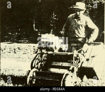 . Les canneberges ; : la canneberge national magazine. La canneberge. Fig. 3. (Photo de gauche) à l'aide de l'équipage récolte cueilleurs mécanique. Remarque travailleur avec brouette. Champ vide-boîtes ont été distribués sur marais de canneberge et rempli les cases supprimées de bog en brouette jusqu'à 1965 environ, lorsque les wagons sont entrées en utilisation intensive. Fig, 4. (Photo de droite) Picker plus couramment utilisés dans le Massachusetts.. Veuillez noter que ces images sont extraites de la page numérisée des images qui peuvent avoir été retouchées numériquement pour plus de lisibilité - coloration et l'aspect de ces illustrations ne peut pas parfaitement ressembler à l'original Banque D'Images