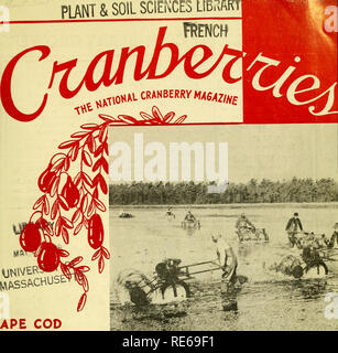 . Les canneberges ; : la canneberge national magazine. La canneberge. ANT PI &AMP ; sciences du sol Li^afiRT. VlASSACHUS Cape Cod, NEW JERSEY WISCONSIN OREGON WASHINGTON K Â ¢ f â '. Veuillez noter que ces images sont extraites de la page numérisée des images qui peuvent avoir été retouchées numériquement pour plus de lisibilité - coloration et l'aspect de ces illustrations ne peut pas parfaitement ressembler à l'œuvre originale.. Portland, TC [etc. ] : Taylor Pub. Co., [etc. ] Banque D'Images