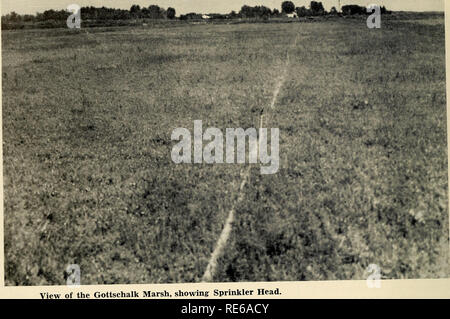 . Les canneberges ; : la canneberge national magazine. Le marais de canneberges. Gottschalk, montrant tête sprinkleur. (Photo) de canneberges m^j-'. Veuillez noter que ces images sont extraites de la page numérisée des images qui peuvent avoir été retouchées numériquement pour plus de lisibilité - coloration et l'aspect de ces illustrations ne peut pas parfaitement ressembler à l'œuvre originale.. Portland, TC [etc. ] : Taylor Pub. Co., [etc. ] Banque D'Images