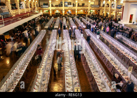 Blackpool, Lancashire. 19 Jan, 2019 au Royaume-Uni. Pigeon voyageur britannique Show. Le pigeon de annuel show se tient à la salle d'exposition des jardins d'hiver ce week-end. Le plus grand rassemblement de Pigeon fanciers au Royaume-Uni a lieu en janvier de l'accueil jusqu'à 10 000 colombophiles sur l'événement de deux jours.. /AlamyLiveNews MediaWorldImages Crédit : Banque D'Images