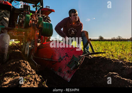 Naples, en Irlande. 20 Jan, 2019. James O'Sullivan de Bandon fait certains ajustements à sa charrue pendant le concours de labour s'est tenue à Naples aujourd'hui. Credit : Andy Gibson/Alamy Live News. Banque D'Images