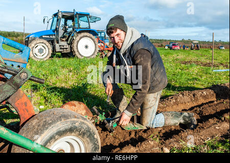 Naples, en Irlande. 20 Jan, 2019. Aidan O'Donovan d Rosscarberry fait des ajustements à sa charrue dans le concours de labour s'est tenue à Naples aujourd'hui. Credit : Andy Gibson/Alamy Live News. Banque D'Images