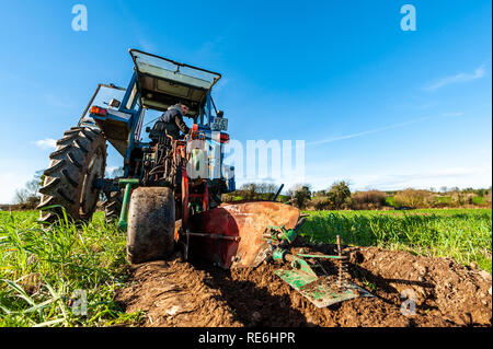 Naples, en Irlande. 20 Jan, 2019. Aidan O'Donovan d Rosscarberry en concurrence dans le concours de labour s'est tenue à Naples aujourd'hui. Credit : Andy Gibson/Alamy Live News. Banque D'Images