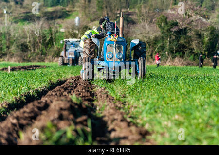 Naples, en Irlande. 20 Jan, 2019. Seán McCarthy fait concurrence dans le concours de labour s'est tenue à Naples aujourd'hui. Credit : Andy Gibson/Alamy Live News. Banque D'Images