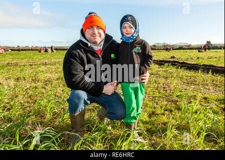 Naples, en Irlande. 20 Jan, 2019. Mike et Liam Campbell de Clonakilty regardé le concours de labour s'est tenue à Naples aujourd'hui. Credit : Andy Gibson/Alamy Live News. Banque D'Images