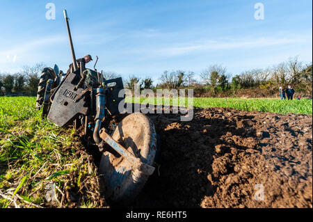 Naples, en Irlande. 20 Jan, 2019. Un concurrent est en compétition dans le concours de labour s'est tenue à Naples aujourd'hui. Credit : Andy Gibson/Alamy Live News. Banque D'Images