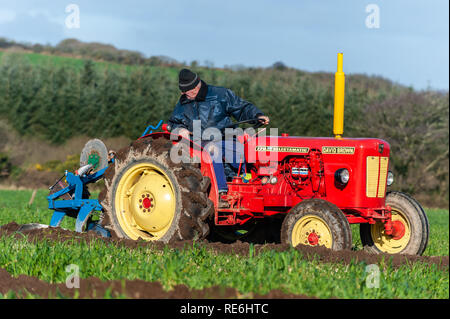 Naples, en Irlande. 20 Jan, 2019. Wiersemo participe à l'ite de labour s'est tenue à Naples aujourd'hui. Credit : Andy Gibson/Alamy Live News. Banque D'Images