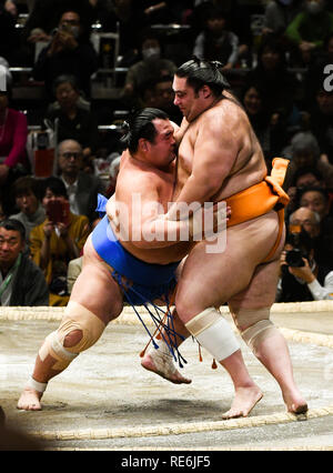 Tokyo, Japon. 20 Jan, 2019. Les lutteurs de sumo (à gauche) et Kotoshogiku Kasuhiro Tomozuna Heya (Kaise)je gripple pendant le tournoi de Sumo à Tokyo Grand Ryogoku Kokugikan le Dimanche, Janvier 20, 2019. Photo par : Ramiro Agustin Vargas Tabares Crédit : Ramiro Agustin Vargas Tabares/ZUMA/Alamy Fil Live News Banque D'Images