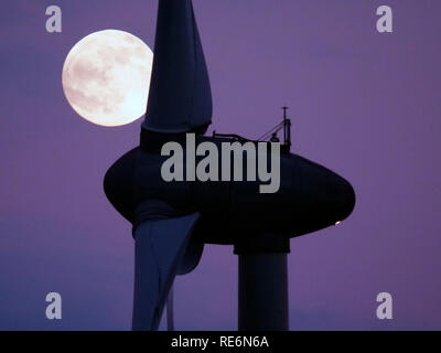 Peak District, UK. 20 Jan, 2019. Loup de sang complet Super Pleine Lune croissante au sujet des éoliennes à griffe Grange près de Wirksworth, Derbyshire Dales, Peak District, UK De : Doug Blane/Alamy Live News Banque D'Images