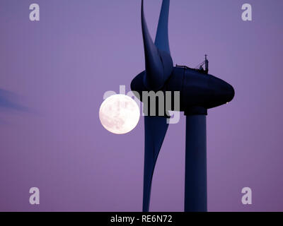 Peak District, UK. 20 Jan, 2019. Loup de sang complet Super Pleine Lune croissante au sujet des éoliennes à griffe Grange près de Wirksworth, Derbyshire Dales, Peak District, UK De : Doug Blane/Alamy Live News Banque D'Images