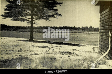 . Les canneberges ; : la canneberge national magazine. La canneberge. Vue de Rocky Meadow Bog torney. Deux ans plus tard, il a été nommé Greffier du Tribunal plis- bouche Comté. Il est ancien président de plis- bouche County Bar Association et de l'BostoS aussi. L'École de droit de l'Association. Il est extrême- ment active dans les affaires de la République, et est un ancien président de la Comté Club républicain. Il a été élu délégué de son district pour le Parti Républicain de Conventions nationales en 1936 et 1940. Il a été un Aide sur l'état-major militaire de l'ancien gouvernement du Massachusetts ou Robert Bradford. Au cours de Banque D'Images