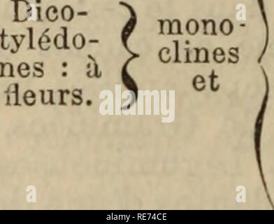 . Cours élémentaire de botanique et flore du Canada a l'usage des maisons d'éducation. La botanique, les plantes, la botanique. ÃLÃMENTAIRE 62 COURS DE BOTANIQUE. CLASSES. «AcotylÃ©dones, ou dont la fleur et les graines sont peu con- nue s ihypogynes perigynes 1 2 3 4 pigynes Ã©/apÃ©tales ; (5 pigynes Ã©/ Ã Ã©tamines &Lt ; perigynes. C Ã©pig gynes 13 perigynes 14 diclines 15 Depuis la publication du GÃªnera planiarum, des modifications importantes ont Ã©tÃ© introduites dans la classification naturelle. Les travaux de Eichard sur le fruit, ceux de de Candolle sur les soudures et les avortements des organes florau Banque D'Images