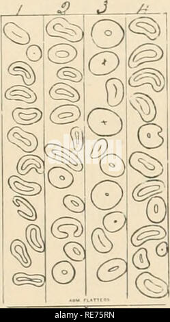 . Coton : ses utilisations, les variétés, la culture, la structure des fibres, et de la préparation pour le marché et d'en faire un article de commerce, aussi la fabrication d'huile de coton, tourteau de coton et d'engrais, avec une référence particulière à la culture du coton, de l'égrenage, l'huile et l'appuyant dans le États-Unis. Coton ; la culture du coton. CHAP. I.] j&Lt ;:gyi"1'[une cottox. 67 grâce à l'Zatiri. Il ressemble à l'Mitaliti earHer hut est quelque peu. La charpie est d'une belle couleur blanche, tine, soyeux, très longue, mais pas si forte que ^litafifi, et les deux premières choisissez la commande- le prix le plus élevé sur le marché. Tente h Banque D'Images