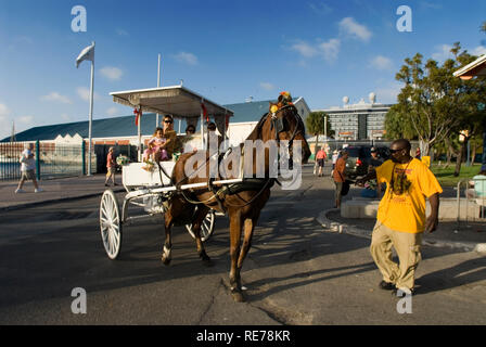 Bahamas New Providence Nassau Bay Street tour à cheval transport Banque D'Images