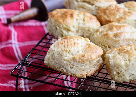Babeurre biscuits fraîchement cuits sud ou à partir de zéro les scones sur une grille de refroidissement. Banque D'Images