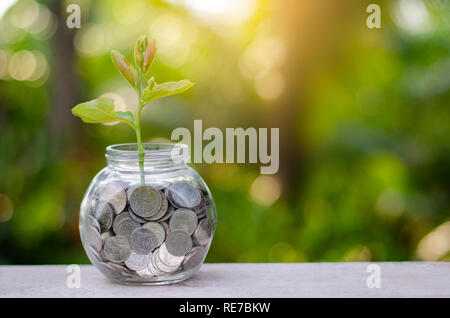 Bouteille d'argent billets billets de banque d'image de l'arbre avec la culture d'espèces végétales sur le dessus pour les affaires de fond naturel vert l'économie d'argent et d'investissement c financière Banque D'Images