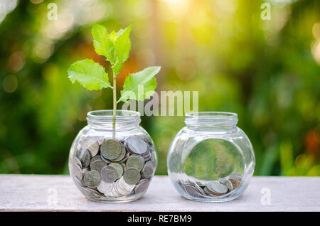 Bouteille d'argent billets billets de banque d'image de l'arbre avec la culture d'espèces végétales sur le dessus pour les affaires de fond naturel vert l'économie d'argent et d'investissement c financière Banque D'Images