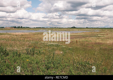 Frampton Marsh RSPB réserve près de Boston Lincolnshire Banque D'Images