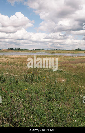 Frampton Marsh RSPB réserve près de Boston Lincolnshire Banque D'Images