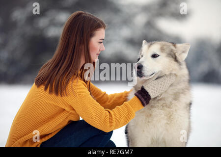 Fille est assise à côté d'un chien malamute d'Alaska et son épouse pour une promenade en hiver. Libre. Banque D'Images