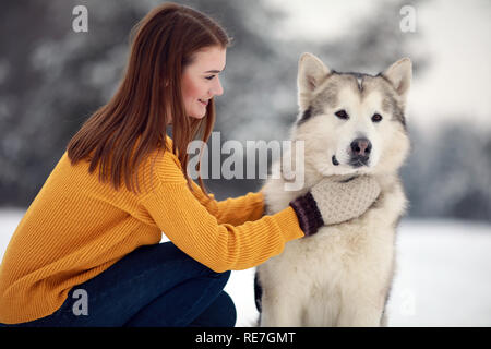 Fille est assise à côté d'un chien malamute d'Alaska et son épouse pour une promenade en hiver. Libre. Banque D'Images