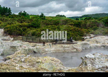 Photo d'une piscine géothermique chaud bordé d'arbres avec de vertes collines en arrière-plan. Banque D'Images