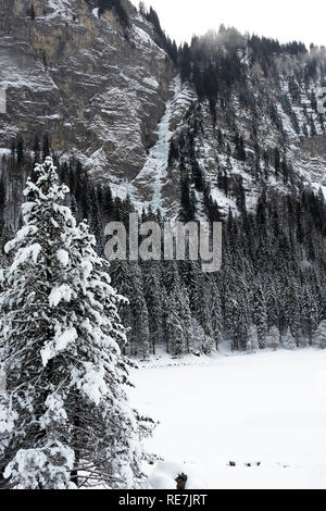 Le Lac de Montriond avec des côtés Colline avec forêt de pins couverts de neige d'argent, Portes du Soleil Haute Savoie France Banque D'Images