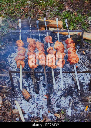La cuisson des viandes en brochettes brochettes dans la nature Banque D'Images