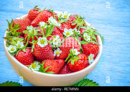 Une fraise mûre rouge dans une plaque d'argile sur bleu grunge background Banque D'Images