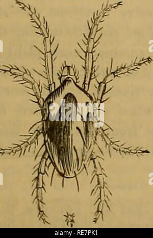 . Le gîte jardinier. Jardinage ; Jardinage. Le gîte jardinier. 63 WEEKLV CALENDRIER. M w Plantes dédié à Sun Sun Moon Moon's Réveil jour o£ D D 16 novembre 1848 â22, chaque jour. S'élève. Ensembles. et les ensembles. L'âge. l'arrière. Soleil. année. 16 ème. Les mésanges bicolores s'approchent de maisons. Chanvre africaine. 23 23 7 7a4 10 10 20 14 59 17 321 F. Hugh, évêque de Lincoln. Stramonium, [fleur. 246 U 18 14 47 322 € - 18 S. ' à tête rouge. 'Arrivée d'ocre. Vu la Passion- 265 morn. 22 14 34 19 323 fils. 22 Dimanche après la Trinité. Formé par Apple idem. 28 40 26 23 14 20 32420 M Edmund, Roi et martyr. Ked Stapelia. [L'oseille. 29 2 1 3 Banque D'Images