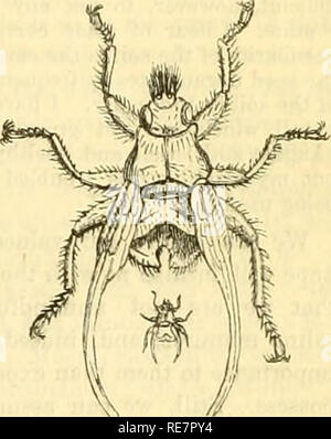 . Le gîte jardinier. Jardinage ; Jardinage. Le 9 octobre. Le gîte jardinier. Calendrier hebdomadaire. 15 M W D OCTOBEn 9â16, 1851. WS4THEB PRÈS DE LONDON N 1850. Dans la pluie. Soleil se lève. Coucher de soleil. Lune R. &AMP ; S. Moon's l'âge. Bef réveil.Soleil. Le jour de l'année. U 1 baromètre. Thermo.vent. I 1 9 12 13 jlO mauvais U Tn 15 P s fils Jf à W Hazel quitte jaune. Oxford et Cambridge Conditions commencer. Vieux michaelmas jour. SlINDAY AFTEIt TBINITY 1/. La chute des feuilles. Lady-bird prend sa retraite. Gossamer abondants. ' Â 211,860 29,891 : 5G32 .10.037â29.933 56â37 30,153 29,915 - 30,357 30,241 .11-34 â 53â27 30,31)6-30.151 49-39 30.091â29.933 Banque D'Images