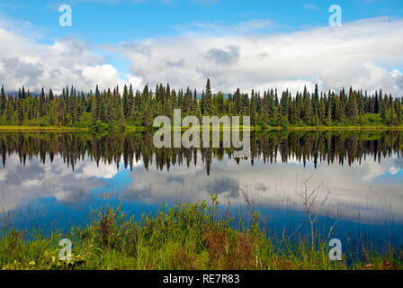 Reflet dans un lac, de l'Alaska Banque D'Images