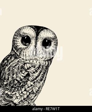 Cute Owl Illustration. Retro Owl Vector Illustration. Chouette bébé noir sur blanc. Peut être utilisé pour t-shirt print, Kids wear, Design de mode, d'Invitation de douche de bébé Carte de pépinière Illustration de Vecteur