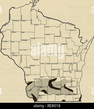 . Rapport d'insectes économique coopérative. Les insectes bénéfiques ; les insectes nuisibles. Insectes spéciaux d'importance régionale (LÉGIONNAIRES Euxoa auxiliaris) - OKLAHOMA - variait de 1 à 6 par yard carré de luzerne dans la région de Stillwater, Payne Comté. Les larves ont atteint jusqu'à la moitié. (Okla. Coop. Sur.). (GREENBUG Schizaphis graminum) - ARIZONA - Trace dans le blé et l'orge à Salt River Valley de comté de Maricopa. La lumière en mêmes cultures à Yuma Comté. (Arizona) Coop. Sur.). Nouveau Mexique - Light à moyenne, 4 à 12 par pied linéaire, de l'orge dans Roosevelt, Chaves Comté. (Mathews). TEXAS - en général tout au long de la lumière sur l'Enclave Banque D'Images