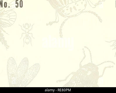 . Rapport d'insectes économique coopérative. Les insectes bénéfiques ; les insectes nuisibles. ^^ VOL. 18 n° 50 C. 13 décembre 1968, L'INSECTE ÉCONOMIQUE llPORT ^^. Veuillez noter que ces images sont extraites de la page numérisée des images qui peuvent avoir été retouchées numériquement pour plus de lisibilité - coloration et l'aspect de ces illustrations ne peut pas parfaitement ressembler à l'œuvre originale.. United States. Service de la santé animale et végétale. Pour la protection des végétaux et de la quarantaine de programmes ; United States. Bureau international d'entomologie et de la quarantaine végétale ; United States. La Division du contrôle des parasites des végétaux. Hyattsville, MD. [Etc. ] Protection des Plantes et Banque D'Images